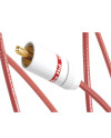 VAN DEN HUL THE ORCHID - Cavi RCA  - Audio Impact