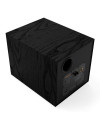 KLIPSCH R-101SW