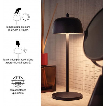 ZAFFERANO - LA VILLE LUMIERE THETA SATIN BLACK