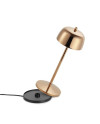 ZAFFERANO - LA VILLE LUMIERE THETA CROMO ROSEGOLD