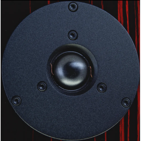 DYNAUDIO SPECIAL FORTY - COPPIA