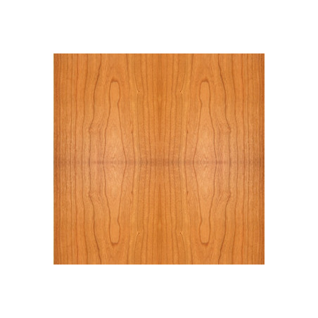 ATC SCM20 - PAIR