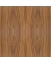 ATC SCM20 - PAIR
