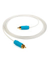 CHORD C-SUB