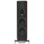SONUS FABER AMATI 5G HOMAGE - COPPIA Diffusori da pavimento - Audio...