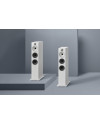 BOWERS & WILKINS 603 S2 ANNIVERSARY EDITION - Floorstanding Speaker...