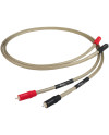 CHORD EPIC ANALOGUE