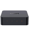 WIIM PRO PLUS