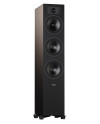 INDIANA LINE TESI 6 - PAIR