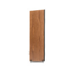 MARTINLOGAN MOTION F20 - COPPIA Diffusori da pavimento - Audio Impact