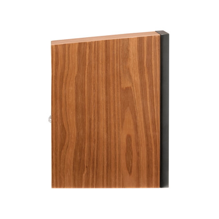 MARTIN LOGAN MOTION B10 - PAIR