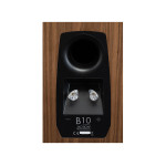 MARTIN LOGAN MOTION B10 - COPPIA