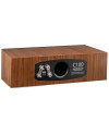 MARTIN LOGAN MOTION XT C100