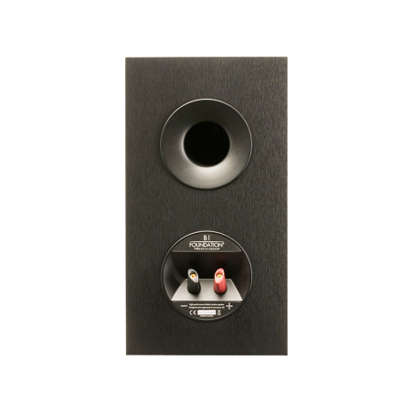 MARTIN LOGAN FOUNDATION B1 - COPPIA