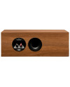 MARTIN LOGAN FOUNDATION C1