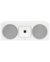 MARTIN LOGAN FOUNDATION C1