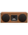 MARTIN LOGAN FOUNDATION C1