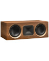 MARTIN LOGAN FOUNDATION C1