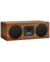 MARTIN LOGAN FOUNDATION C1