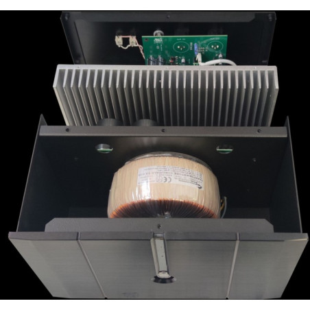 EAM LAB CLASSIC AMP 250M - COPPIA