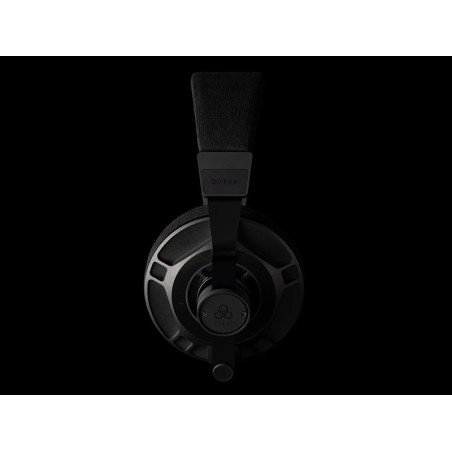 FINAL AUDIO D7000