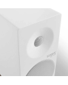 TANGENT SPECTRUM X4 - PAIR