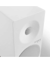 TANGENT SPECTRUM X5 - PAIR
