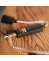 IFI GO LINK