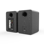 AIWA ASP-A200 - COPPIA