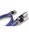 RICABLE VX1 INVICTUS XLR 1 MT 