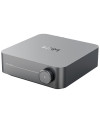 WIIM AMP PRO