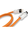 RICABLE DP15 DEDALUS POWER 1,5 MT