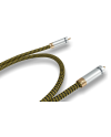 RICABLE DC2 DEDALUS COAXIAL 2 MT