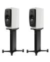 DYNAUDIO CONFIDENCE 20A