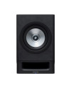 TECHNICS SC-CX700 - PAIR