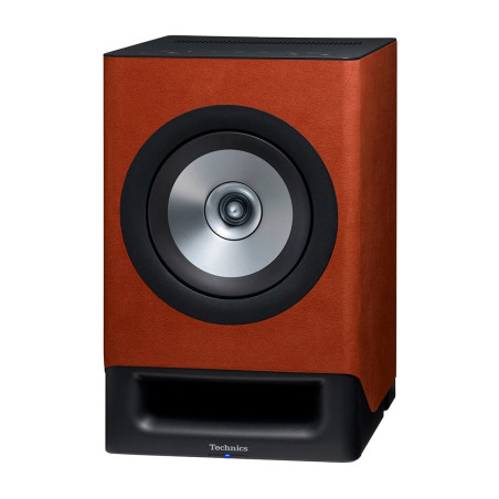 TECHNICS SC-CX700 - COPPIA