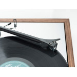 PRO-JECT PICK IT DS2 MC TESTINE E STILO - Audio Impact