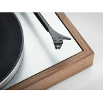 PRO-JECT PICK IT DS2 MC TESTINE E STILO - Audio Impact