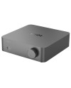 WIIM VIBELINK AMP