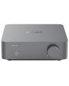 WIIM VIBELINK AMP