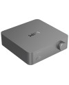 WIIM VIBELINK AMP