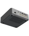 WIIM VIBELINK AMP