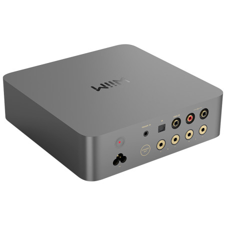 WIIM VIBELINK AMP