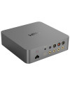 WIIM VIBELINK AMP
