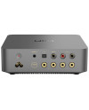 WIIM VIBELINK AMP