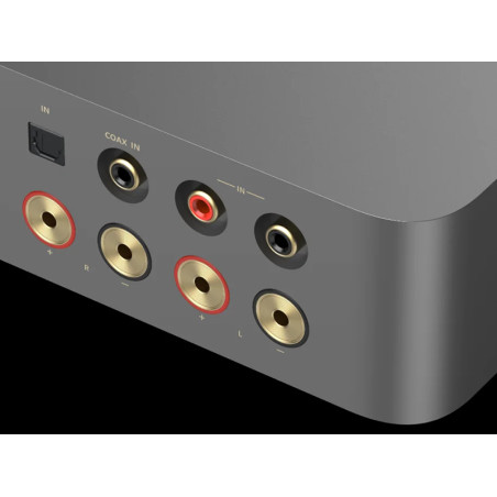 WIIM VIBELINK AMP
