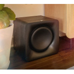 KLIPSCH Subwoofer Flexus XSUB 100