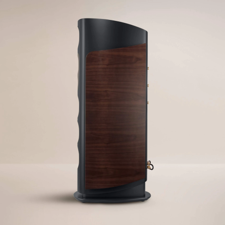 CANTON REFERENCE GS EDITION - COPPIA