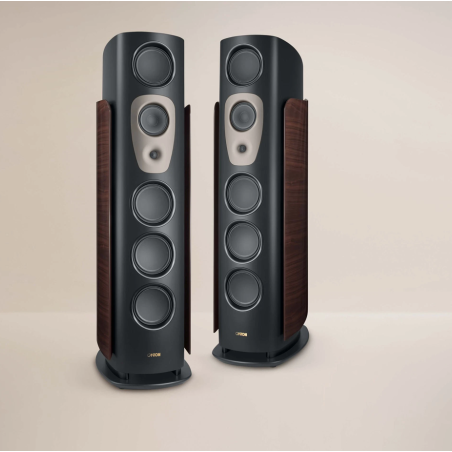 CANTON REFERENCE GS EDITION - COPPIA
