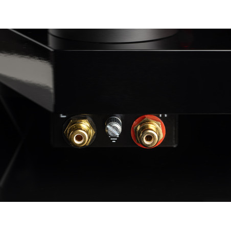 PRO-JECT AC/DC TURNTABLE